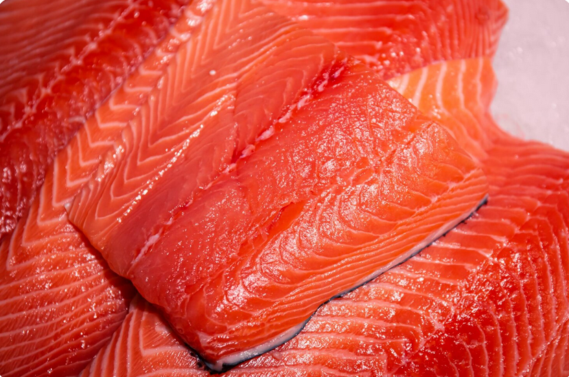 salmon 